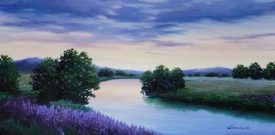 Lavender Dreams
